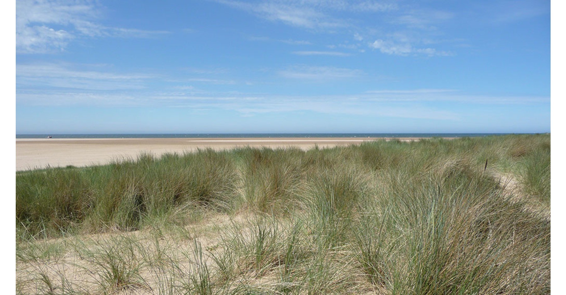 The Holkham Experience